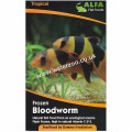 FROZEN BLOODWORM BLISTER 100G